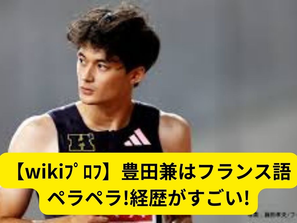 【wikiプロフ】豊田兼はフランス語ペラペラ!経歴がすごい! | 日々の一滴