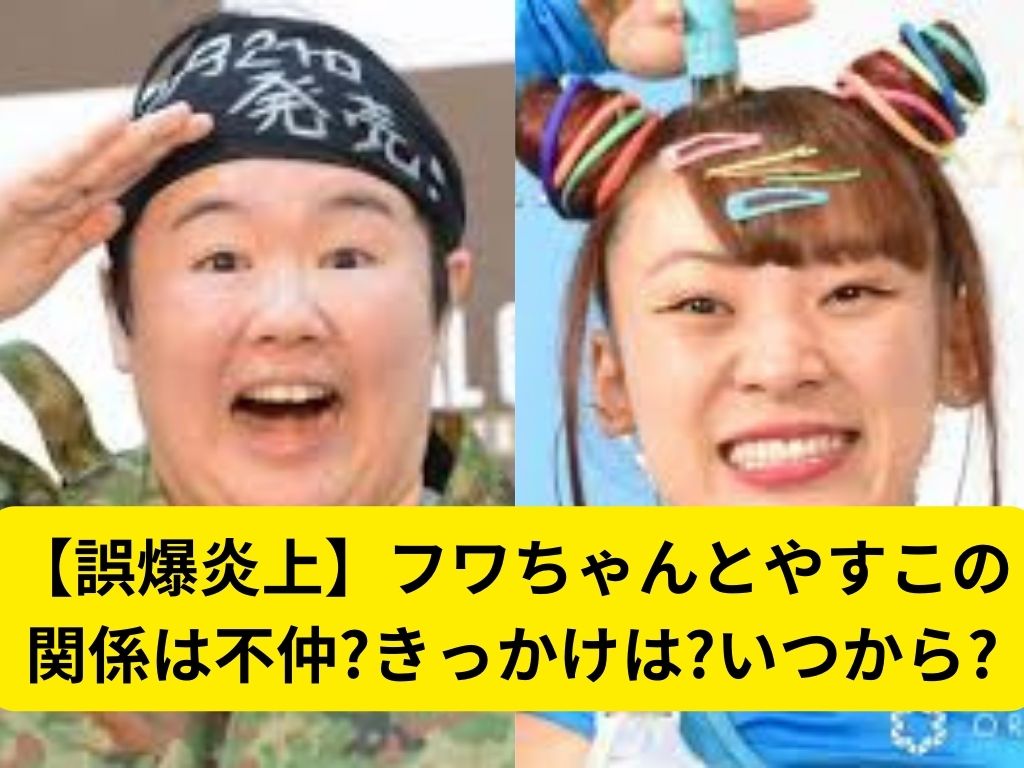 【誤爆炎上】フワちゃんとやすこの関係は不仲?きっかけは?いつから? | 日々の一滴
